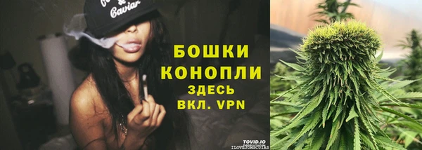 стафф Володарск