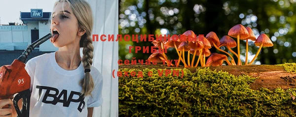 стафф Володарск