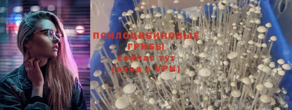 МДПВ Волосово