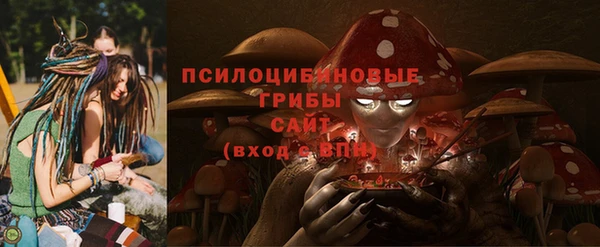 стафф Володарск