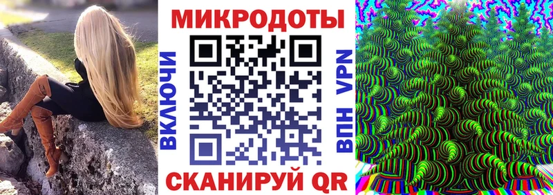 Псилоцибиновые грибы мицелий  наркота  Элиста 